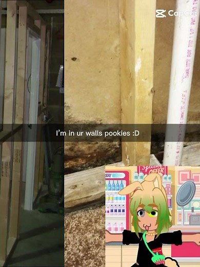 I can hear you.../meme