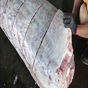 Cleaning and Filleting Swordfish for Sashimi #267 | Duo Duo