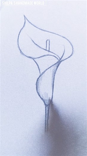 How to Draw a Calla Lily Drawing | Easy Lily Flower Drawing #lilyFlower #pencildrawing #howtodraw