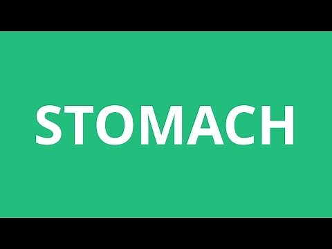 How To Pronounce Stomach - Pronunciation Academy