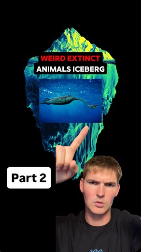 psychopoly | Iceberg of the Weirdest Extinct Animals (part 2) | Instagram