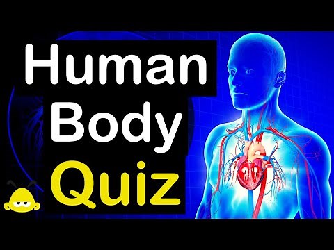 Human Body Quiz (MIND-BLOWING Trivia) - 20 Questions And Answers - 20 Fun Facts