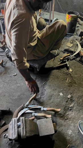 The sickle tooth reproduction process | Mechanical World #1