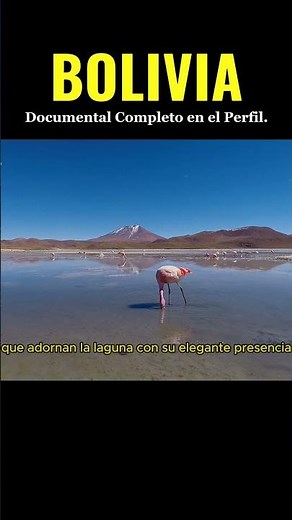 LA LAGUNA COLORADA #bolivia #boliviano #cultura #historia #descubriendoelmundo #documental #paises