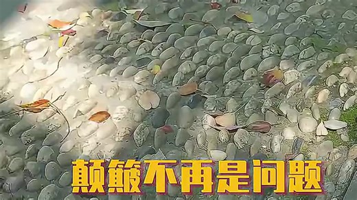 【九号推荐】九号（Ninebot）电动滑板车E2 Plus升级款：成人便携式两轮代步车，双缓震 智能屏显 炫彩氛围灯