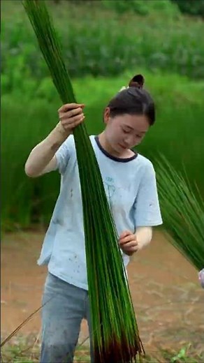 This Grass Hides Noodle-Like Herbal Fiber Inside! #shorts #plants #farming