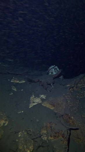 #yucatan #yucatan #yucatan #yucatanmexico #buceocenote #cenote #espeleobuceo #espeleobuceo #buceocenote #cuevas #cenotesmexico #craneos #TikTok #merida #buceo #buceo de cueva #vamosabucear #inah #restosmayas #mayas #vasijasmaya #viral