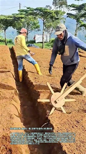 自作道具を押し進める：畑に定株穴を整然と刻む農の技