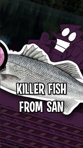 KILLER [FISH] FROM [[ SAN DIEGO ]]