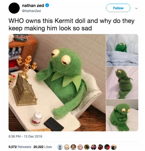 Frogs Daily on Instagram: "Day 2228: Kermit is sad so you don’t have to be • • • •Follow for more 😎 •Sent in by @ •Credit @ • • #frog #frogs #phrog phrogs phrogmeme phrogmemes treefrog colourfulfrog toad toads toadmemes explore explorepage meme phrognation pepe dank meme foryou trending instagram"