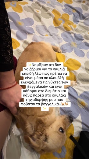 Βεγγαλικά και σκυλάκια 🐕🐕#dogs #dogtraining #dogsoftiktoks #kate9inedogtraining #mpesfyp