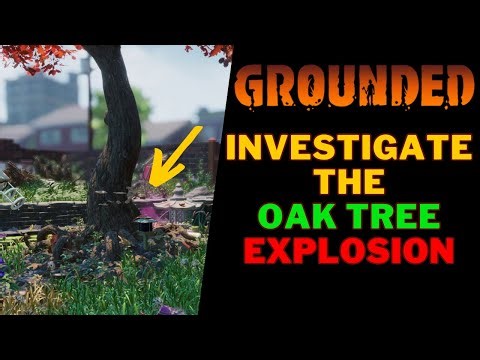 How To Investigate The Oak Tree Explosion | Grounded