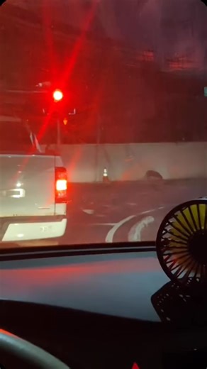 6.3K views · 35 reactions | Multiple dogs on the loose Reminder for everyone to lock there dogs inside due to the thunder | My Kailua | Facebook