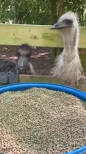 53 reactions | Our sanctuary is OPEN for visitors today & every...