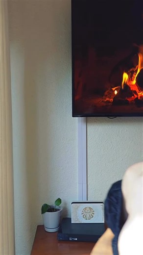 Blair Bini on Instagram: "Anyone else wanna stay home and chill today?"