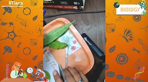 Exploring the Intriguing Staining Process of Cells | Microscopic Insights #askIITians 🔔 Stay Updated: Follow us on social media for the latest content, study hacks, and exam tips. Delve into the fascinating world of cell biology as we uncover the intricate staining process used to visualize cells under the microscope. From vital dyes to fluorescence techniques, join us on a journey to understand how staining unveils the hidden structures and functions within cells, unraveling the mysteries of l