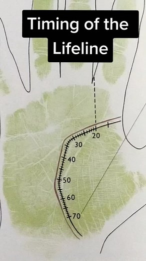 Understanding Handprint Measurements for Lifelines