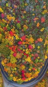 🍁 Open doors, open hearts. Experience our mountain spirit in Jackson County, NC. 💙 | North Carolina Mountain Towns of Cashiers, Cherokee, Dillsboro, and Sylva