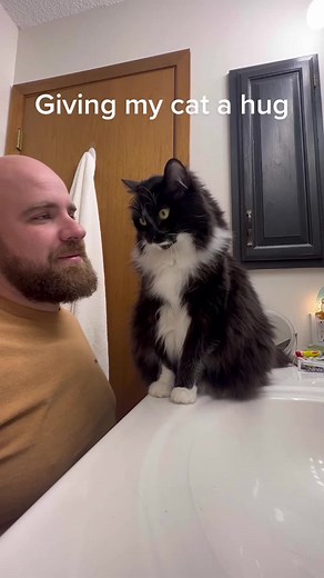 Cat Hugging Compilation | Cute Cats Being Hugged by Humans