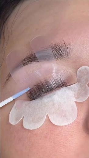 How To Do an Eyelash Perm Like a Pro (Full Process)