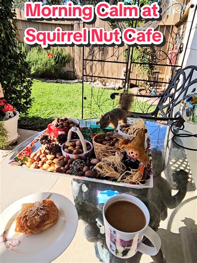 Morning coffee tastes better with squirrel company. ☕️🐿 #MorningCalm #NatureConnection #SquirrelNutCafe #PrincessHazelnutSquirrel #CoffeeAndNature