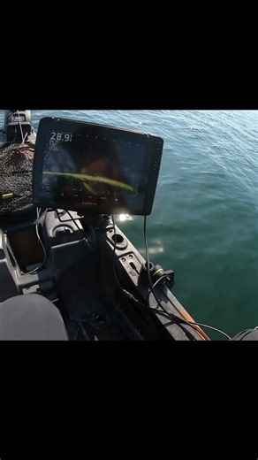 Lake Simcoe fall Smallie