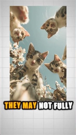 Cats DON'T Always Land! #shorts