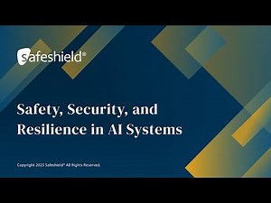 Safety, Security, and Resilience in AI Systems