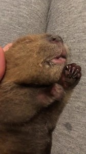 13K views · 851 reactions | Goodnight  all! We hope your dreams are...