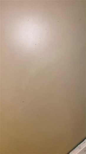 Shy girl rejects the hottie Andre #msa #fyp #shy #alfamale #fy | shy girl