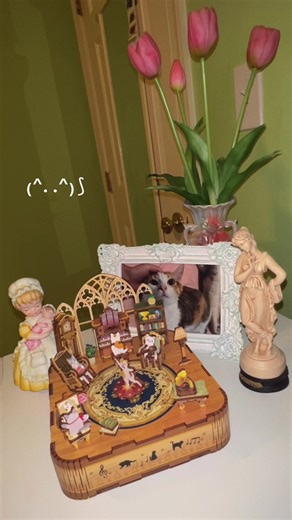 finished building my sister’s music box w her! it took over 2 hrs #cat #musicbox #gift