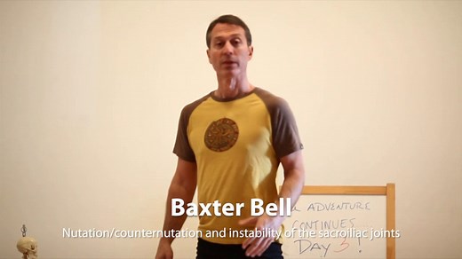 Nutation/counternutation and instability of the sacroiliac joints