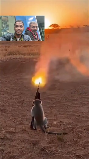 क्या माहौल है भाई 🐒🐒🐒😃😃😃 #youtubeshorts #funny #orrangdere #viralvideo #comedy