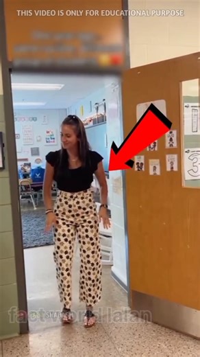 What He Thought Was a Rock Was Actually Alive 🤯😱 #popular #education #shortsfeed #guessinggame