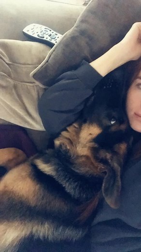 A cuddle montage 🐾❤️#dogchallenge #gsd #germanshepherd #dogsoftiktok #dogcuddlechallenge #dogcuddles #love #bestfriend #doglove #dogs