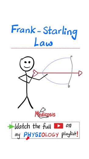 Understanding the Frank-Starling Law in Cardiology