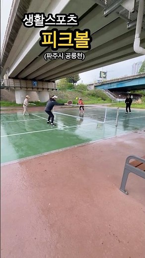 피크볼 생활체육 소개