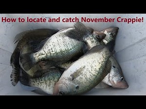 How to locate and catch crappie in November! Fall Crappie Fishing 2021!