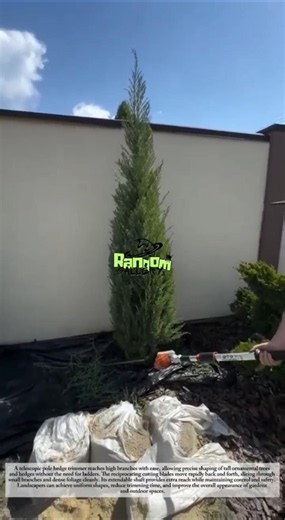 Amazing Pole Hedge Trimmer! Perfect Tree Shaping Made Easy