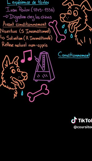 Explication du Conditionnement Classique selon Pavlov