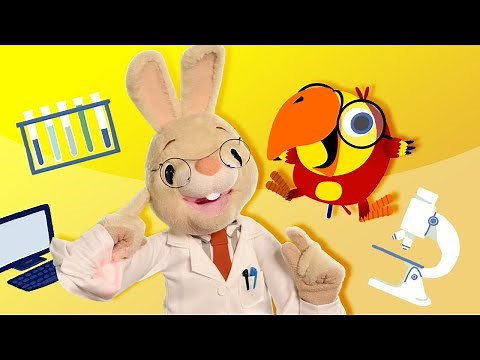 Harry The Bunny Song & Harry and Larry Compilation - Doctor | Educational Videos for Preschoolers