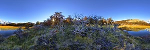 Enchanted forest 360 Panorama | 360Cities