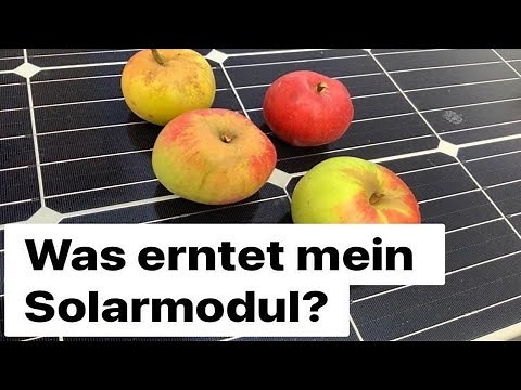 Wie prüfe ich, welche Leistung ein PV-Modul bringt?