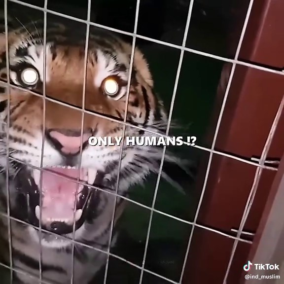 ‏India’s amazing biodiversity #india