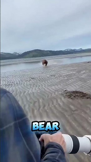 How to Survive a Bear Attack with Bear Spray! 🧯