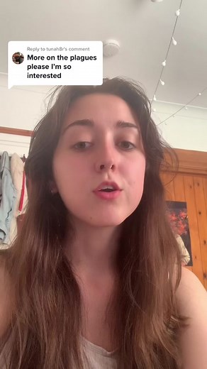 Decoding the Historical Basis of the Ten Plagues of Egypt