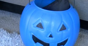 The Blue Pumpkin Project