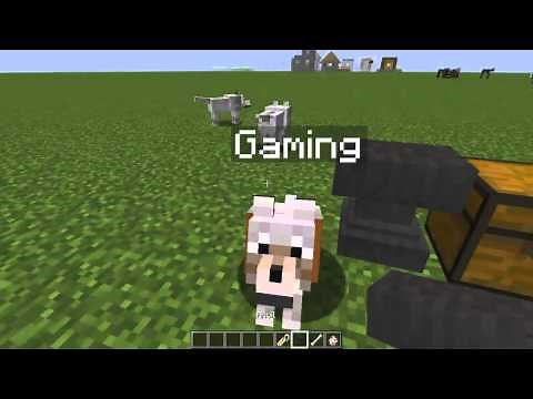 How to Name a Mob - Minecraft