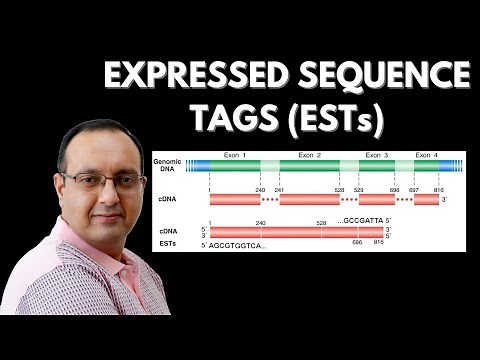 What are Expressed Sequence Tags (EST)? | Genomics