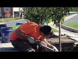 How to Maintain a Filterra Stormwater Biofiltration System - Contech Engineered Solutions